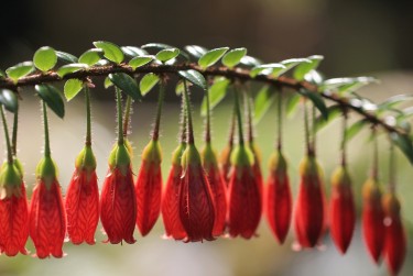 中山神湾私人快速借钱网，轻松解决资金难题