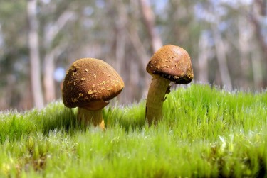 中山神湾私人老板放款：轻松融资的秘密通道